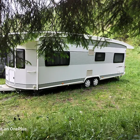 Kamp alanı White Pearl