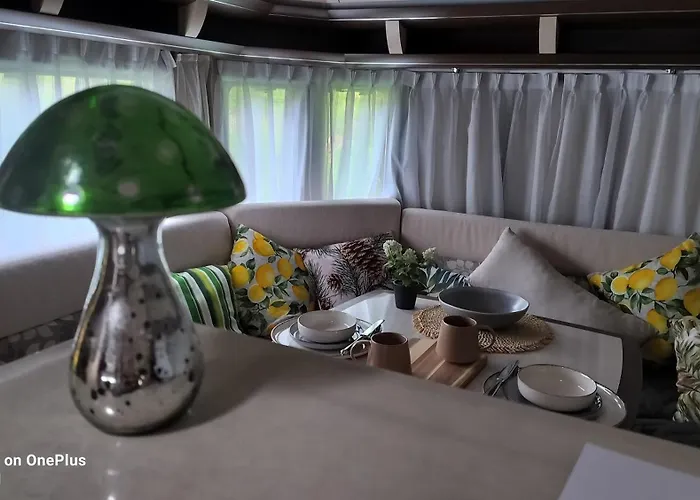 White Pearl Kamp alanı