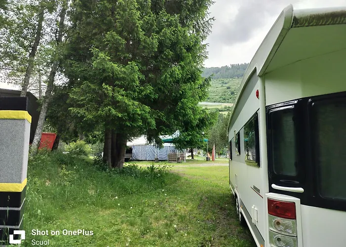 Kamp alanı White Pearl