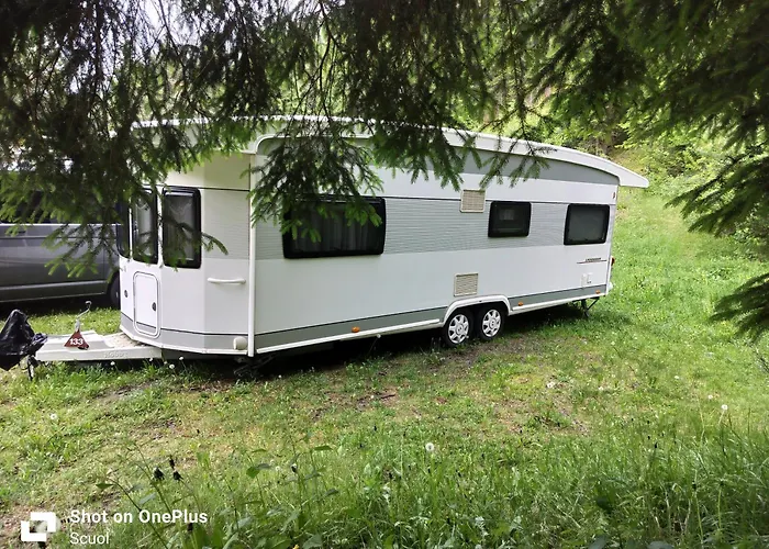 Kamp alanı White Pearl